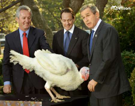 HAPPY THANKSGIVING FROM ILLEST LYRICS